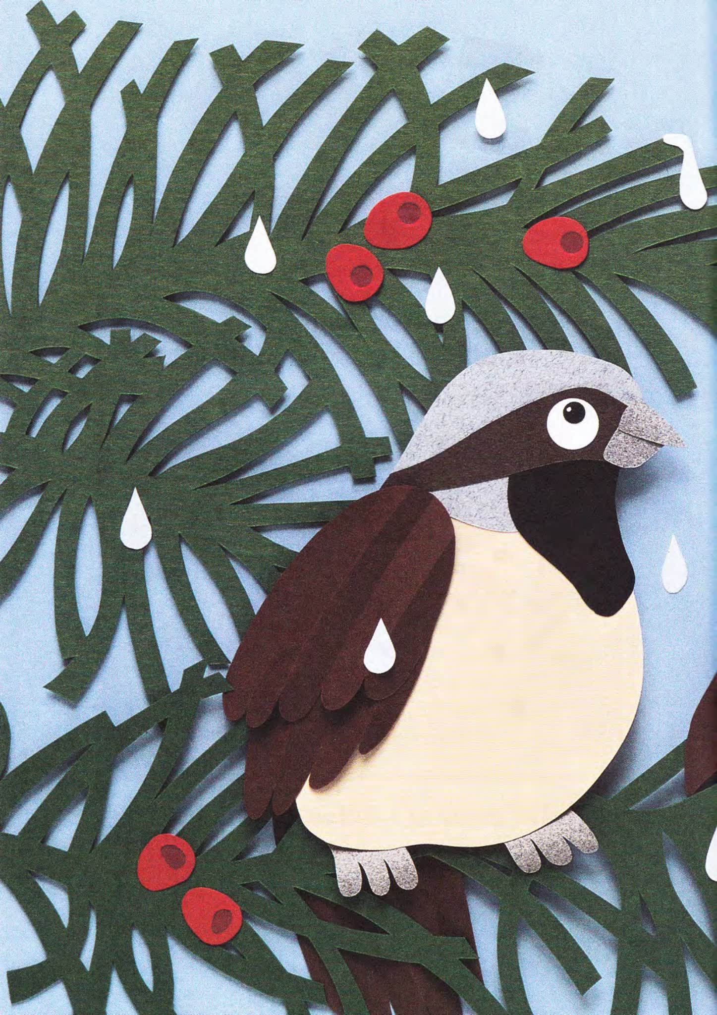 图片[3]-I Am library 科学启蒙10本含音频 知识学习英文绘本-糖果资源站