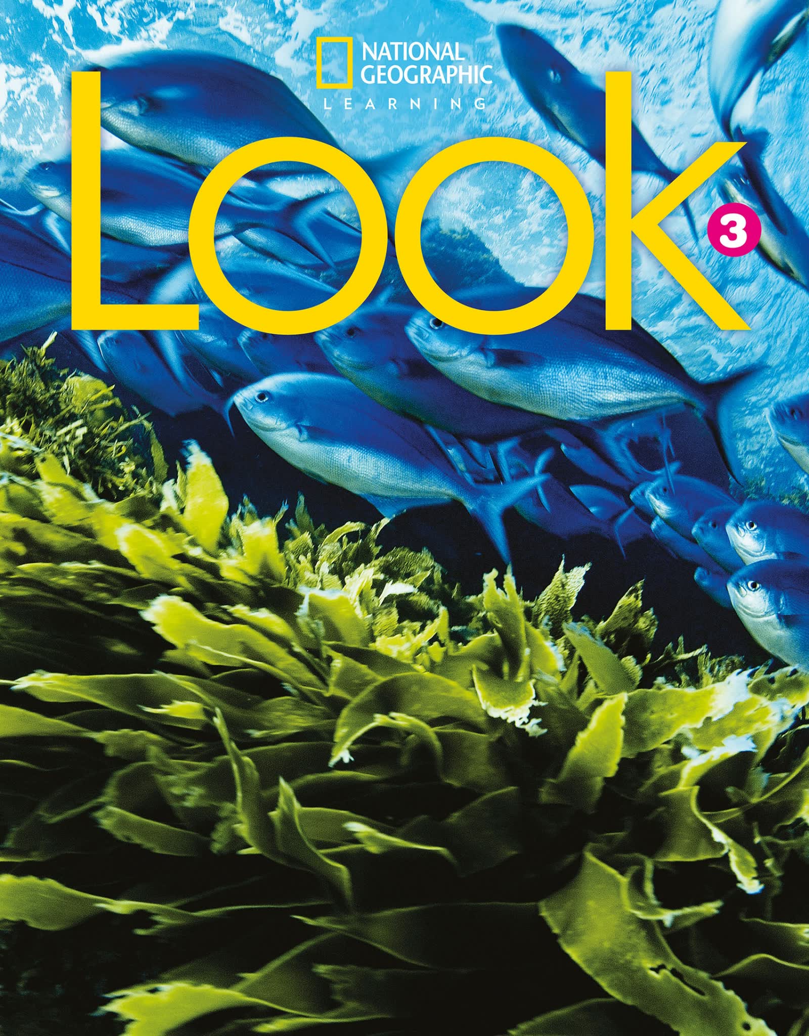 图片[6]-国家地理LOOK教材 少儿英语-糖果资源站