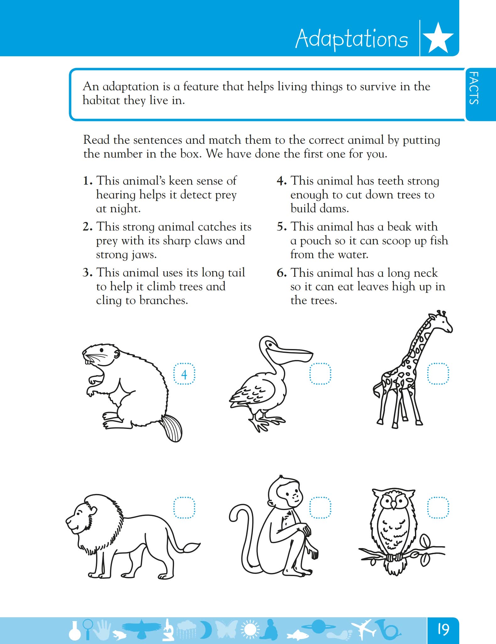 图片[2]-DK科学练习册 DK Workbooks Science-糖果ABC资源站