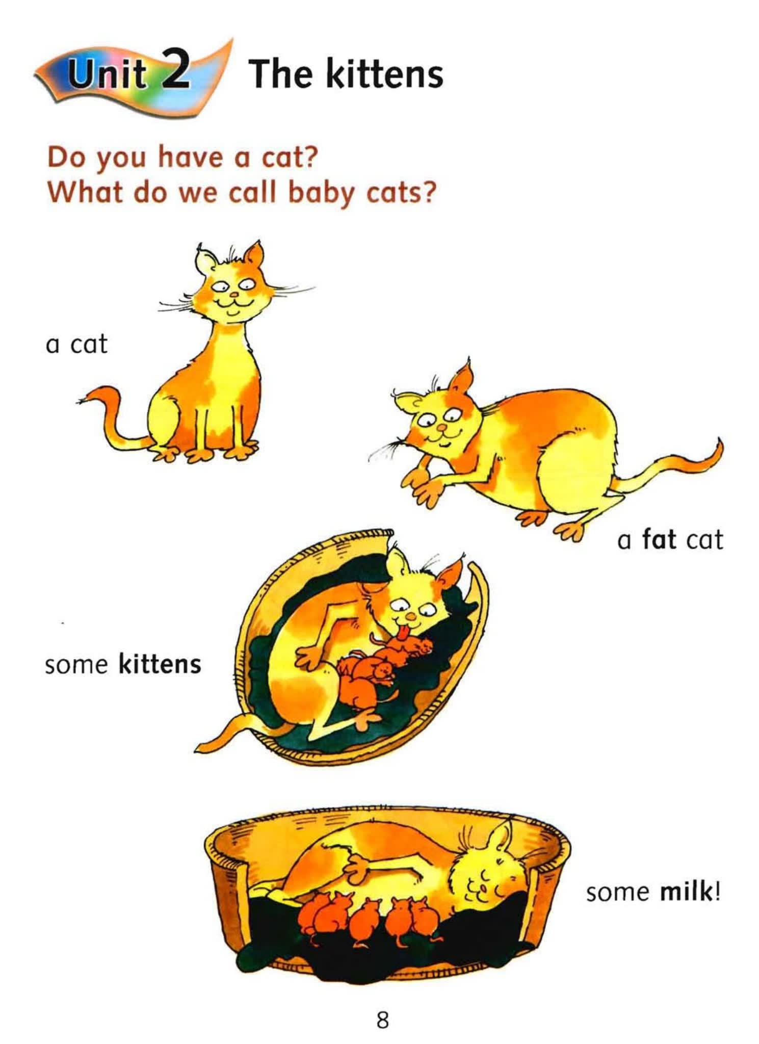 图片[2]-麦克米伦小学英语读写教材Macmillan Primary Foundation Skills – Reading and Writing Comprehension-糖果ABC资源站