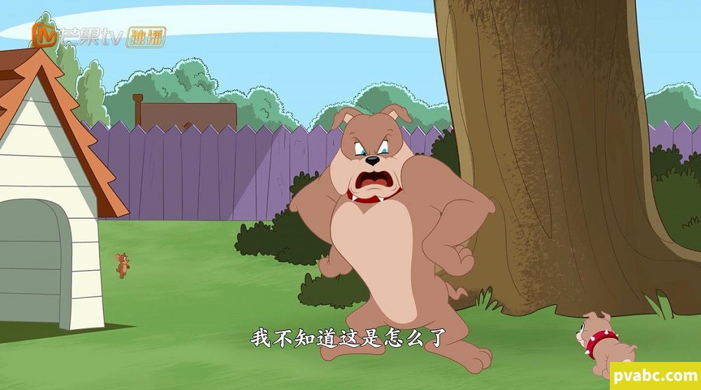 图片[2]-新猫和老鼠 The Tom And Jerry Show 英文版第三季全24集英语中字高清1080P视频MP4下载-糖果ABC资源站