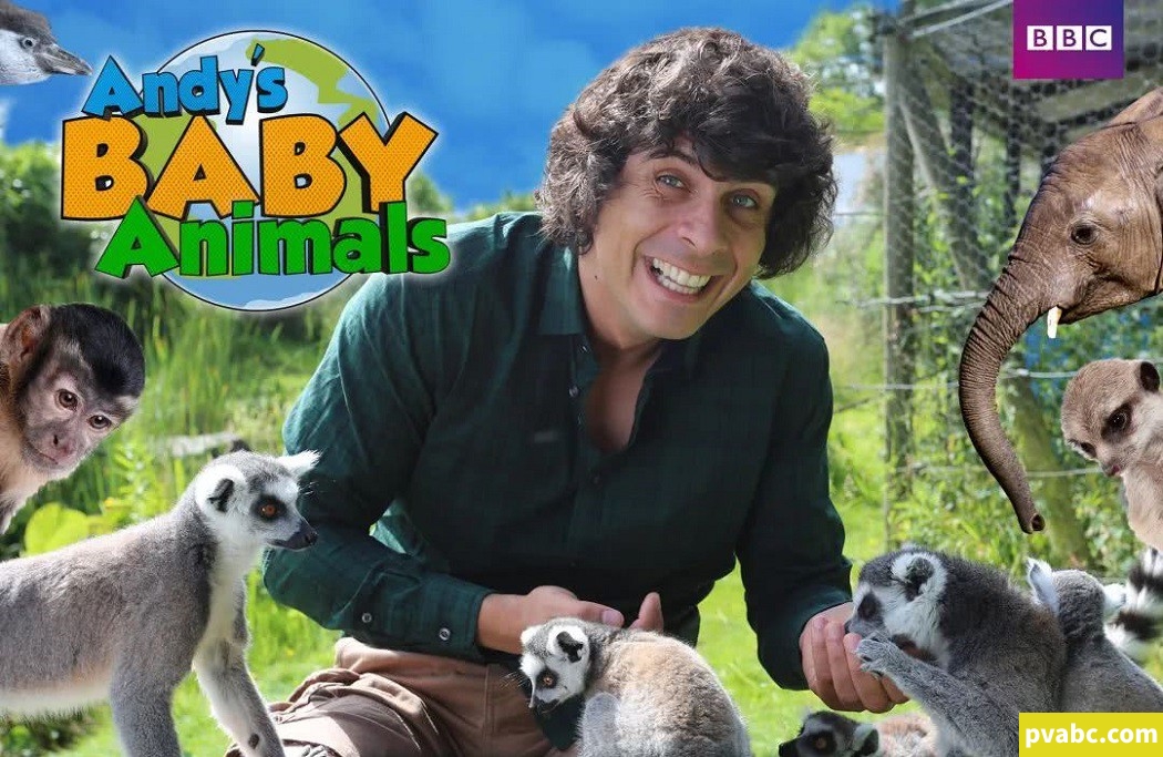 qw安迪的动物宝宝 Andy’s Baby Animals 中文版全20集国语1080P视频MP4+音频MP3下载-糖果ABC资源站