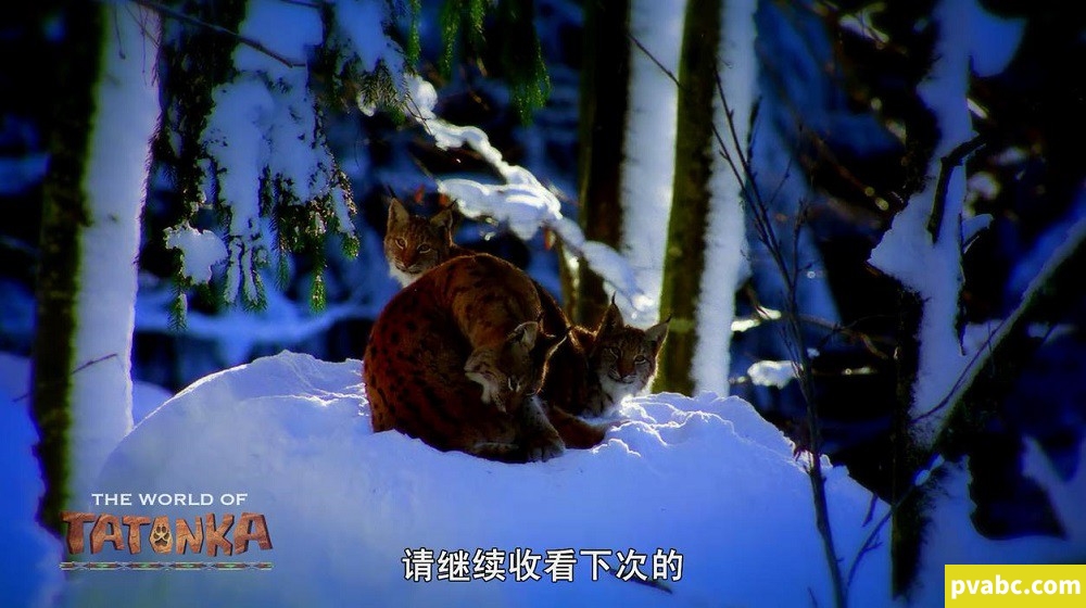图片[4]-qw小狼旺吉 Tales of Tatonka 英文版探险动画片全52集英语中字高清720P视频MP4格式下载-糖果ABC资源站