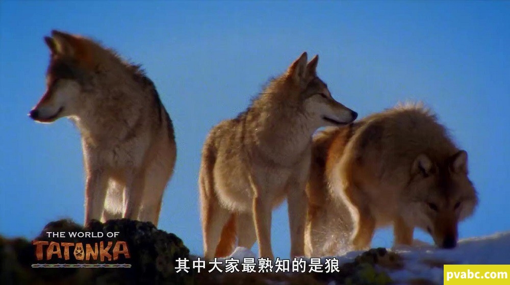 图片[2]-qw小狼旺吉 Tales of Tatonka 英文版探险动画片全52集英语中字高清720P视频MP4格式下载-糖果ABC资源站